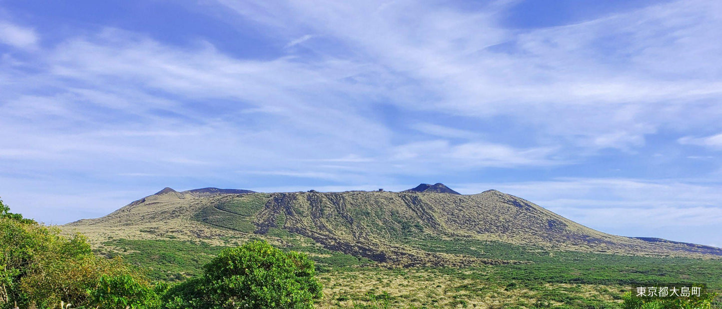 往復高速ジェット船利用 伊豆大島2日間 1月24日(土)発