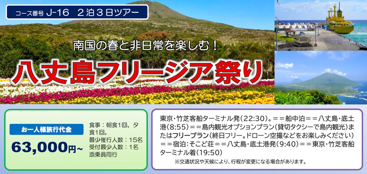 【2027年3月下旬 開催予定】八丈島フリージア祭り 2泊3日