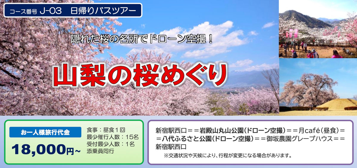 【2027年4月上旬 開催予定】山梨の桜めぐり 日帰り空撮ツアー
