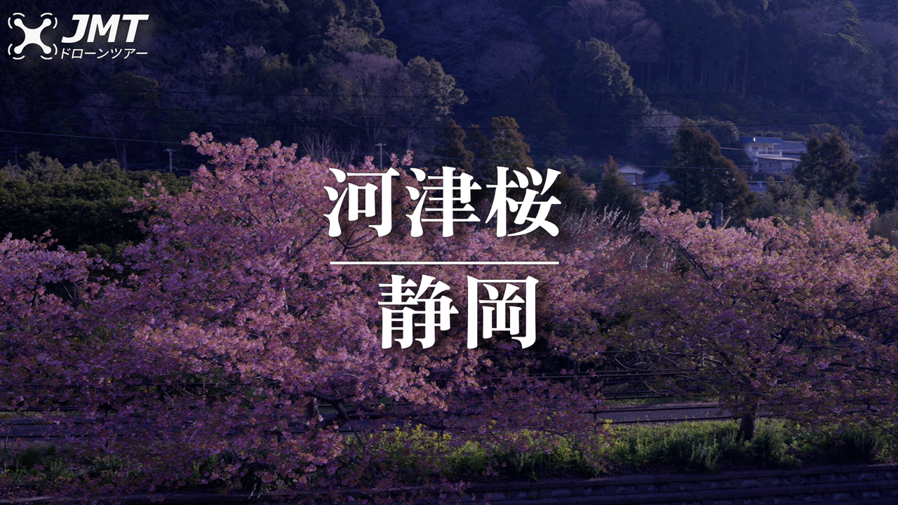 【1泊2日】河津桜ドローンキャンプ 2024年2月11日（日）